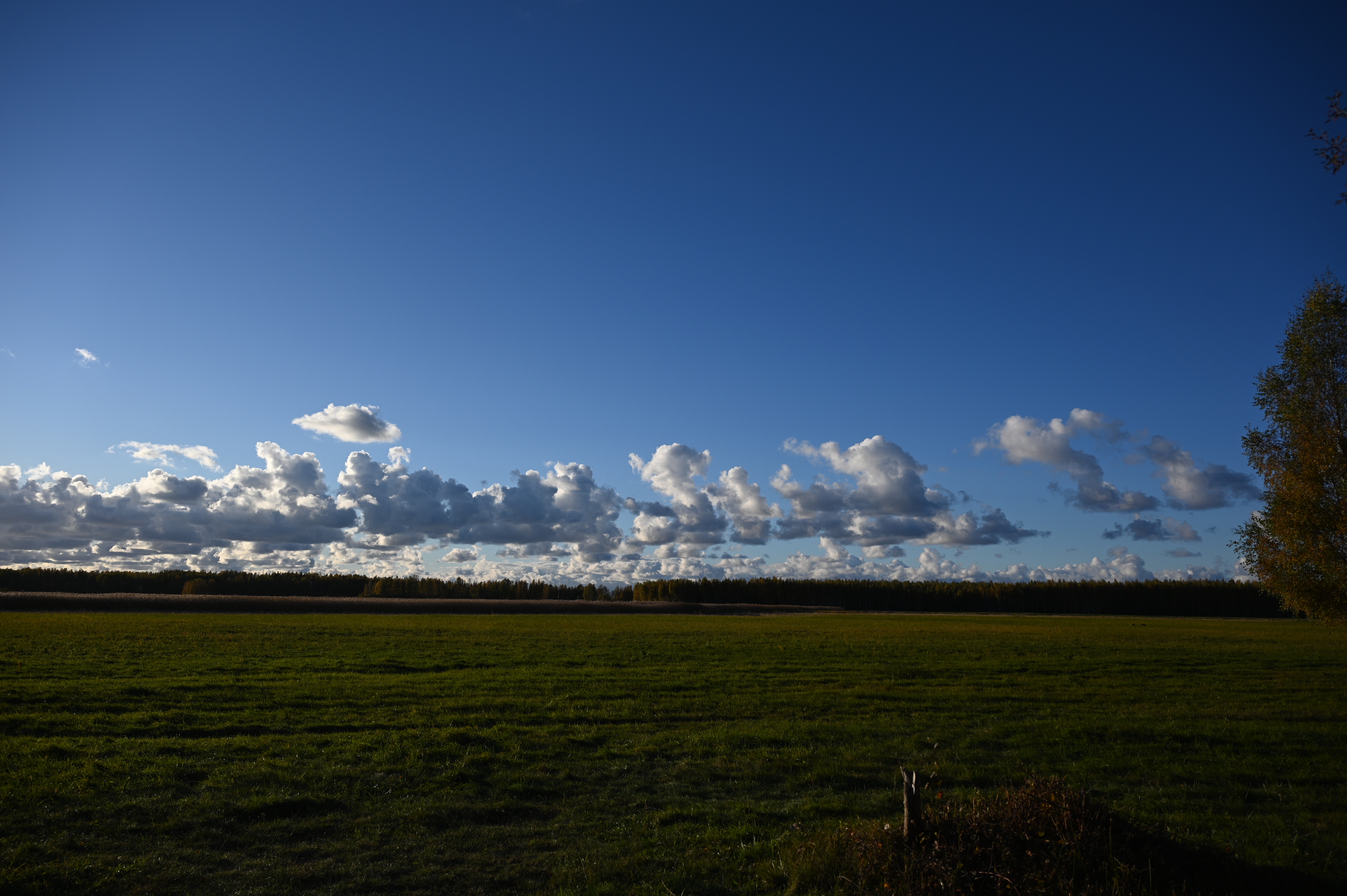 2025/10/18 - walk/DSC_0146.JPG